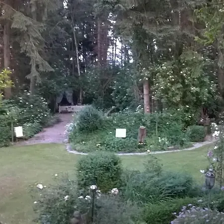 Vi 